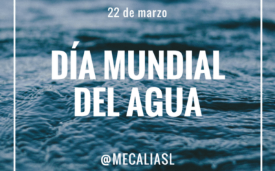 Día Mundial del Agua